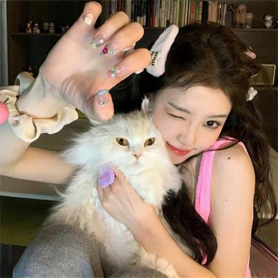 太空狗与涡轮猫