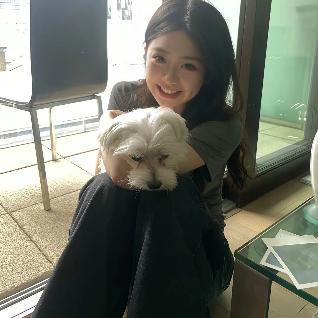 星耀女孩:好莱坞篇